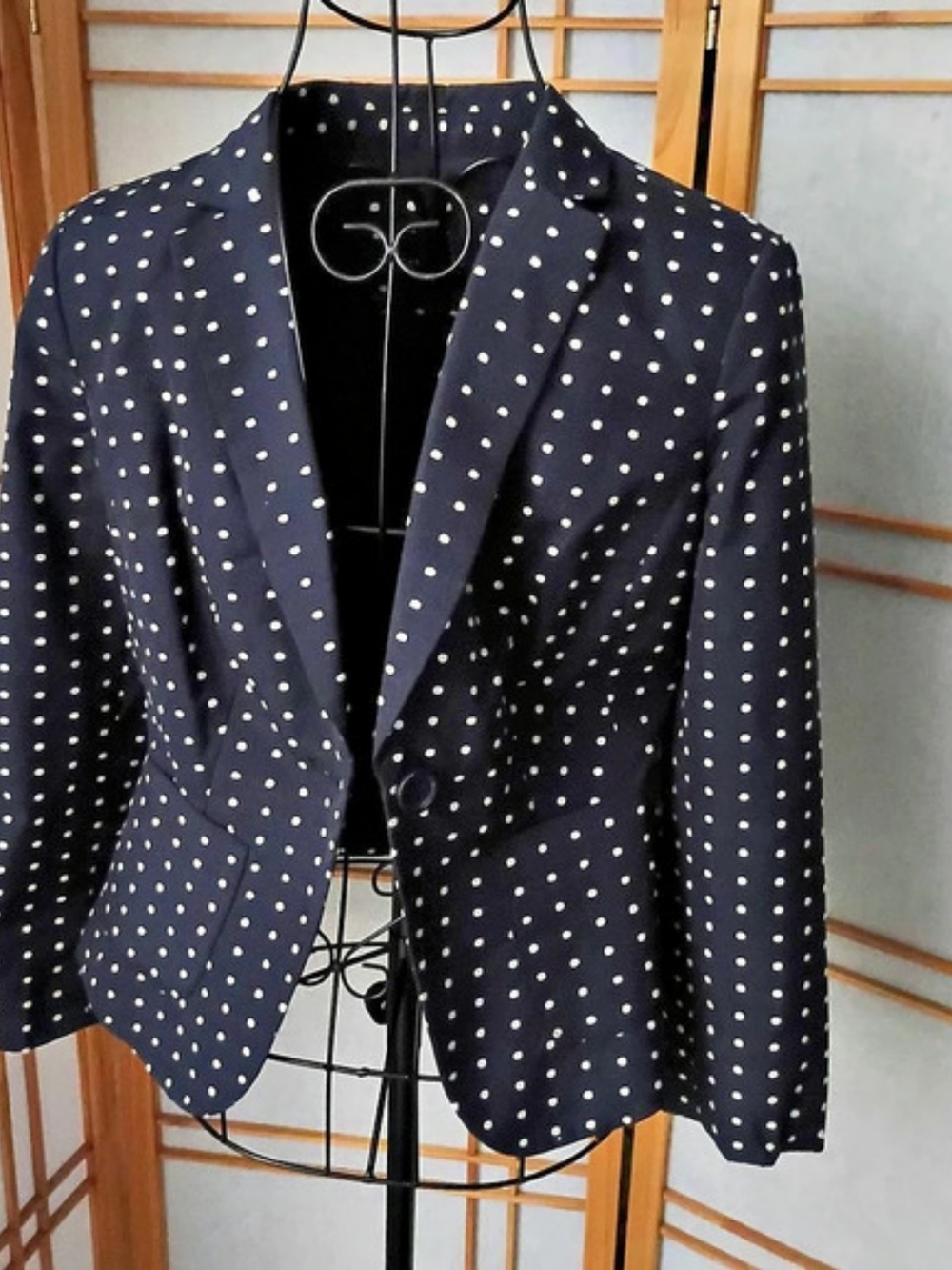 The Limited Polka Dot Blazer in Blue & White Size XS Like New